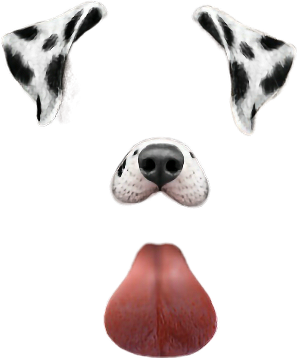 Dog Snapchat Puppy Filter Cool Love Beauty Beautiful Transparent