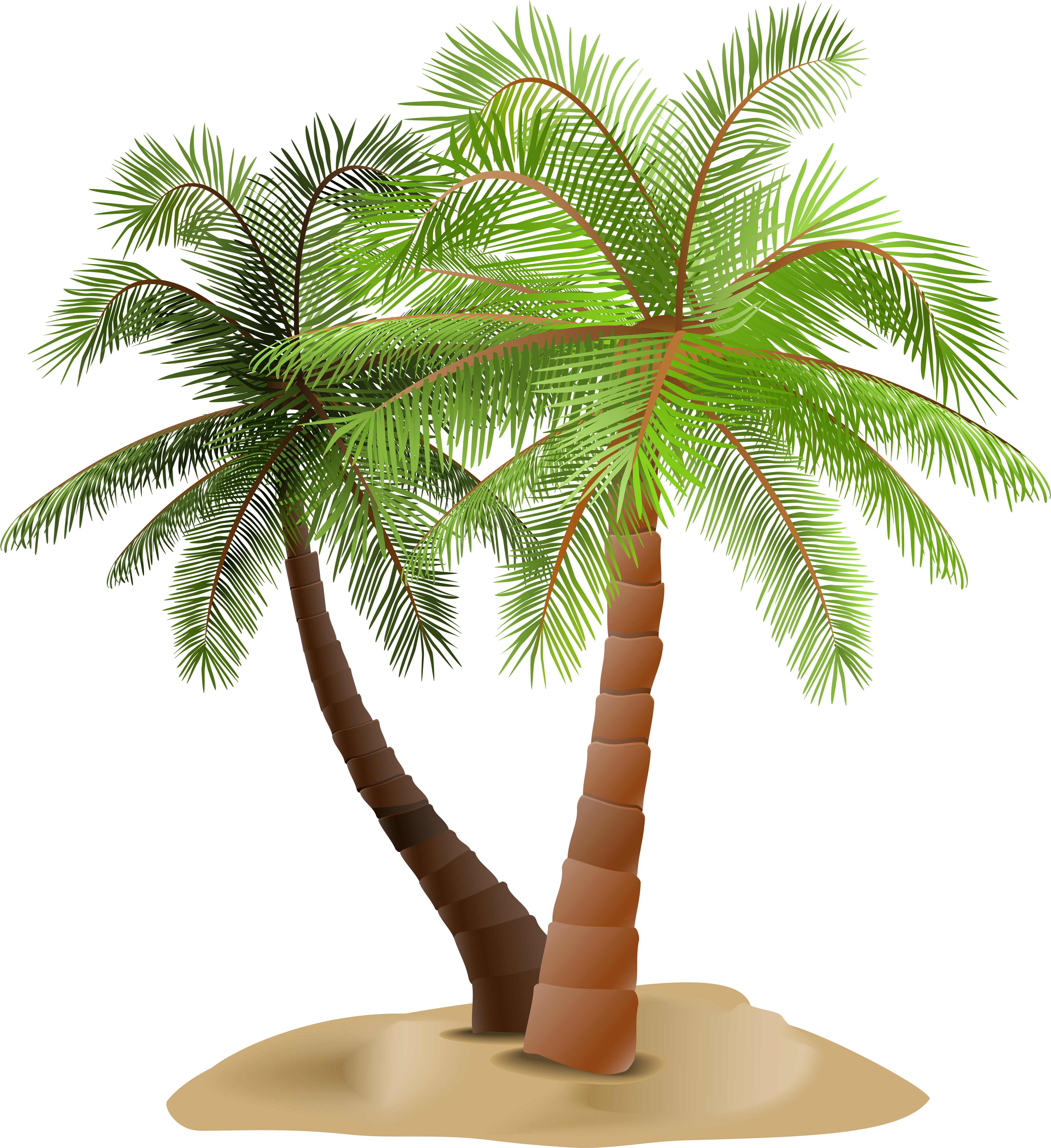 Palms In Sand Transparent Png Clip Art Image - Palm Trees With Sand Png (4623x5000), Png Download