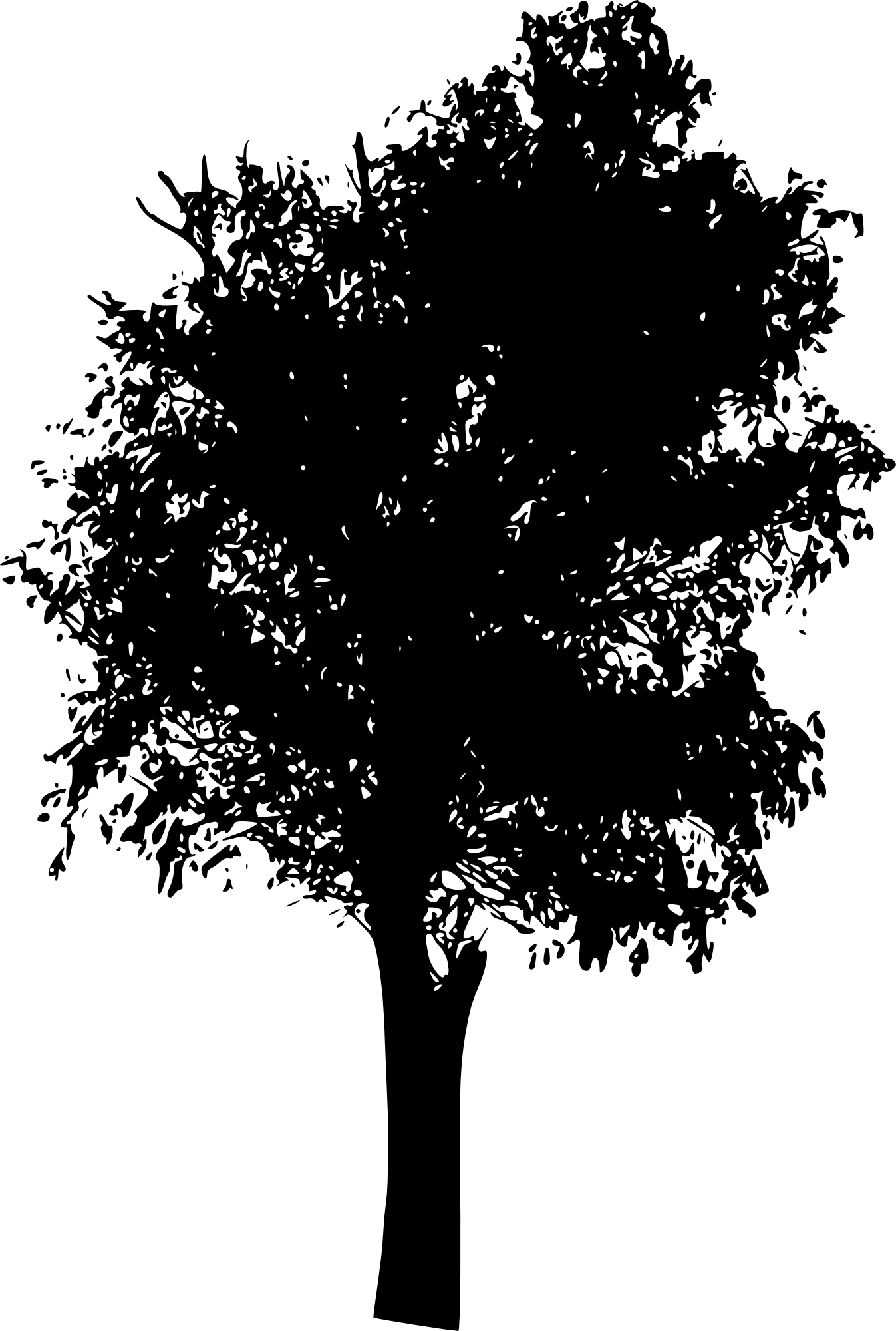 Free Download - Willow Tree Silhouette Png Clipart (1347x2000), Png Download