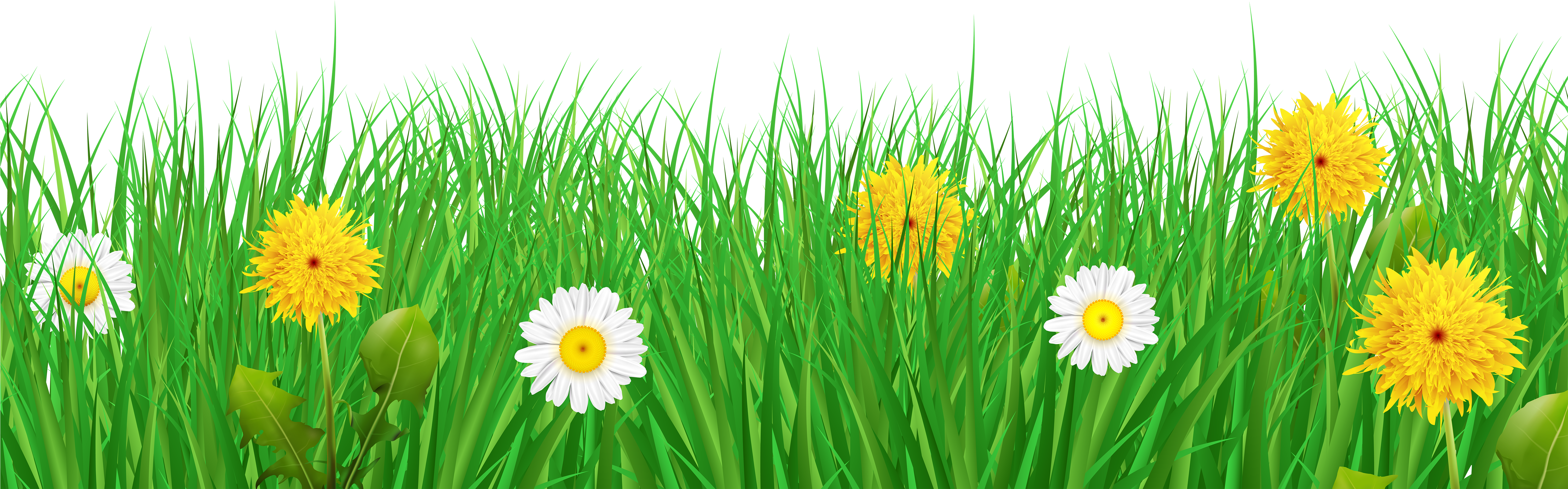 Grass And Flowers Clipart - Png Download (6000x2133), Png Download