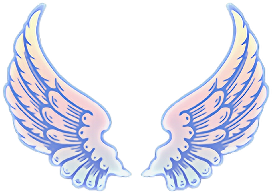 Angel Wings Aesthetic Transparent , Png Download - Angel Wings Clipart (953x682), Png Download