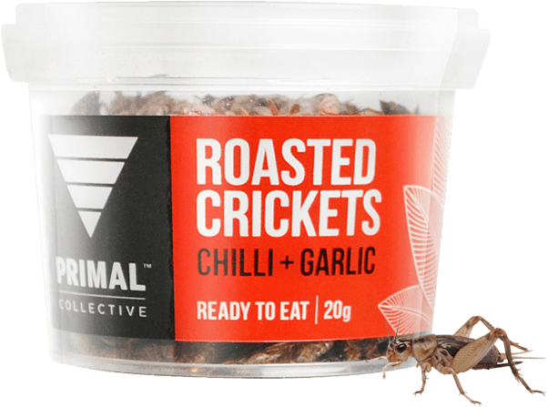 Drawing Insect Field Cricket - Cricket Clipart (817x715), Png Download