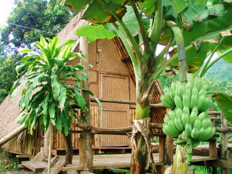 Bamboo Country Lodge $29 Clipart (800x600), Png Download