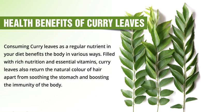 Along With Flavor, Curry Leaves Also Help In Providing - Kari Patta Benefits For Hair Clipart (777x435), Png Download