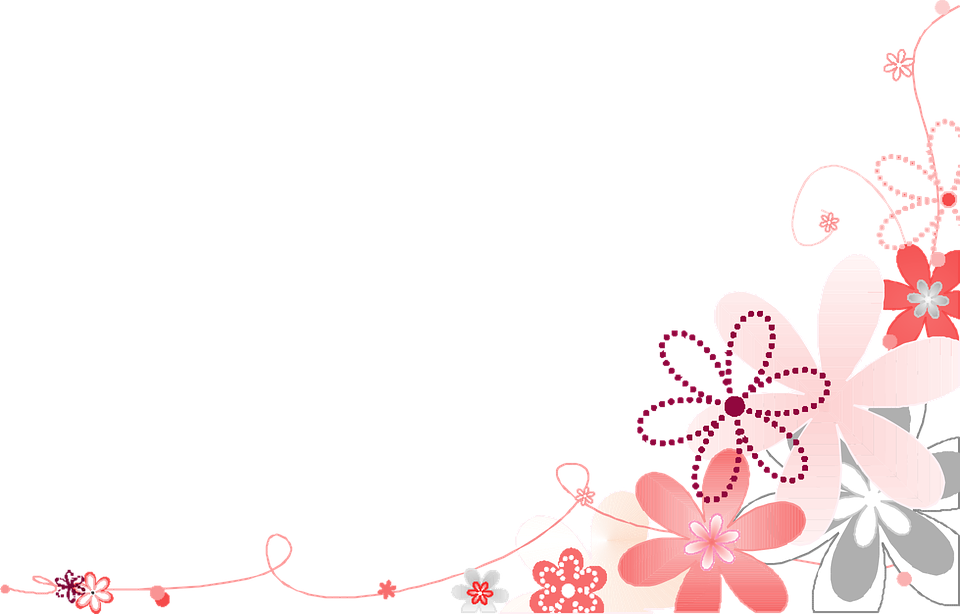 Pink Flower Background Png - Pink And White Flower Png Clipart (960x614), Png Download