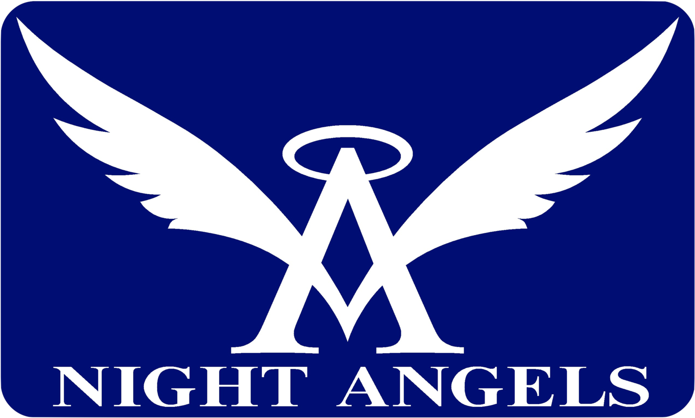 Blue Angels Decals Png - Logo Angels Clipart (1500x911), Png Download
