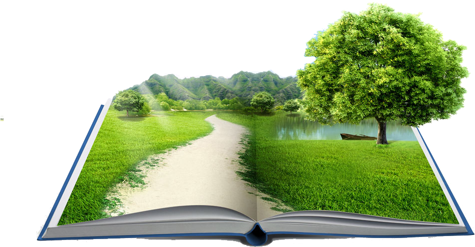 Natural Mortgage Jsc Federal Loan Fixed-rate Trees - Grass Trees In Books Clipart (1000x667), Png Download