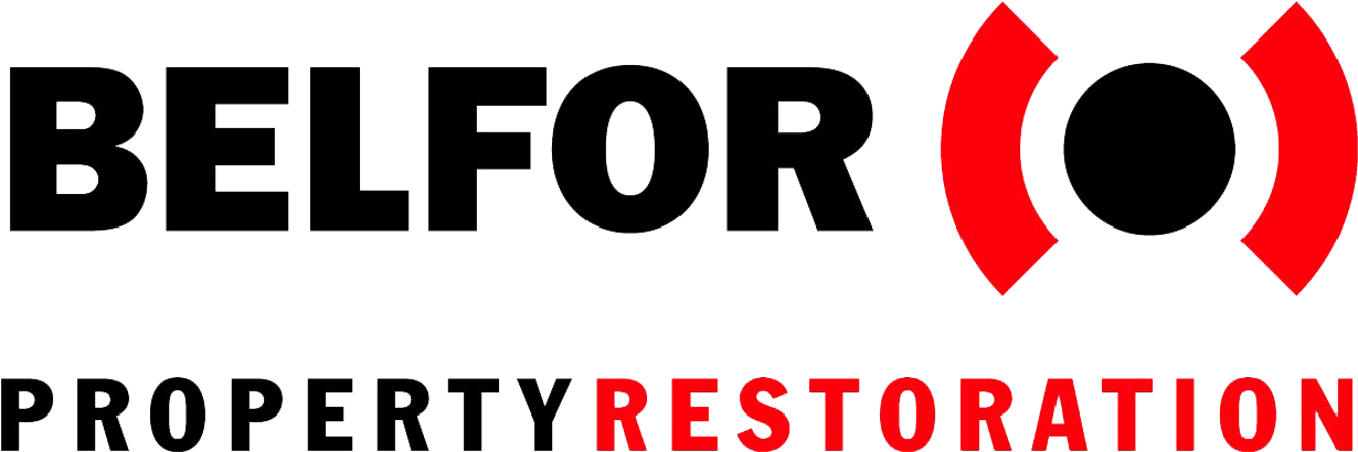 The Detroit Lions Are Pleased To Offer Special Pricing - Belfor Property Restoration Clipart (1275x1276), Png Download