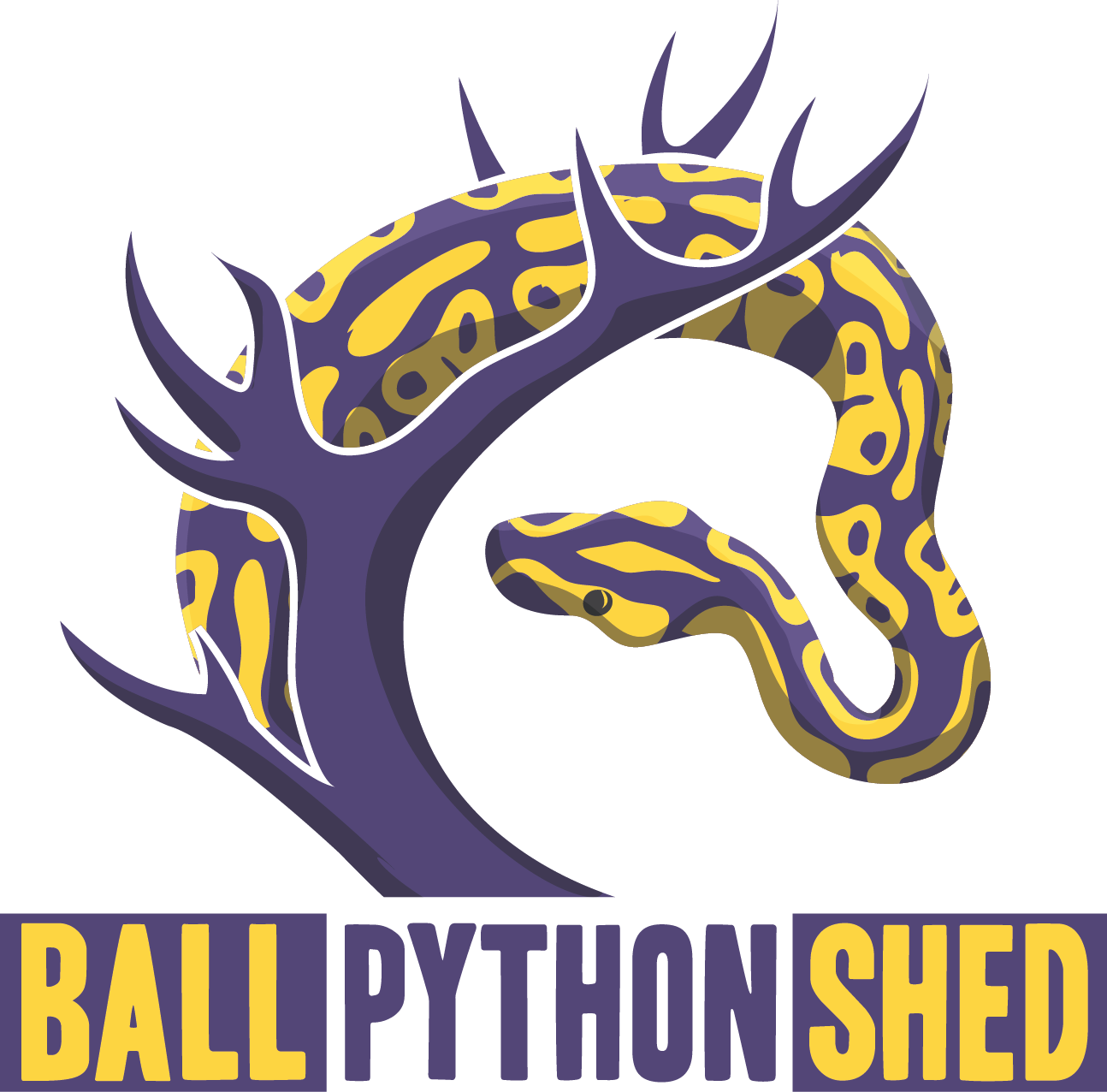 Download Python Logo Clipart Ball Python - Illustration - Png Download ...