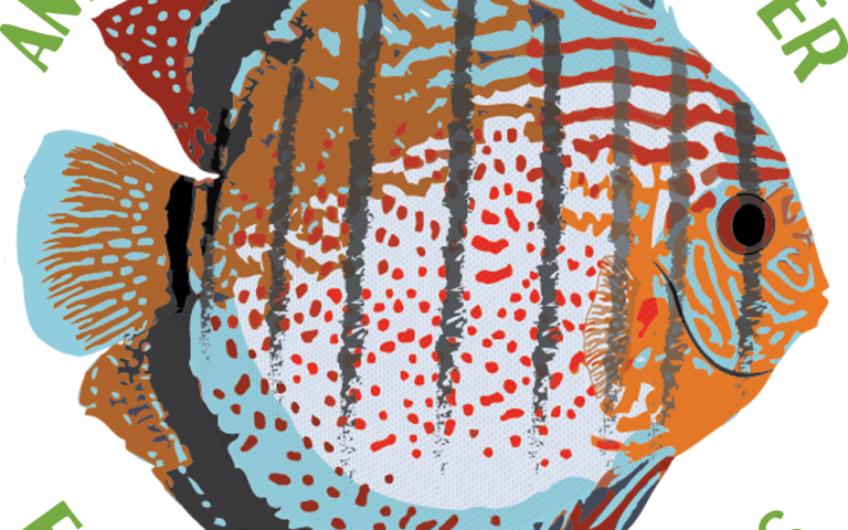 News Room - Coral Reef Fish Clipart (768x480), Png Download