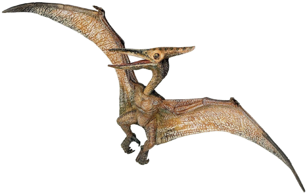 Jurassic Park Playfield Pterodactyl , Png Download - Pterodactyl Dinosaur Clipart (991x626), Png Download