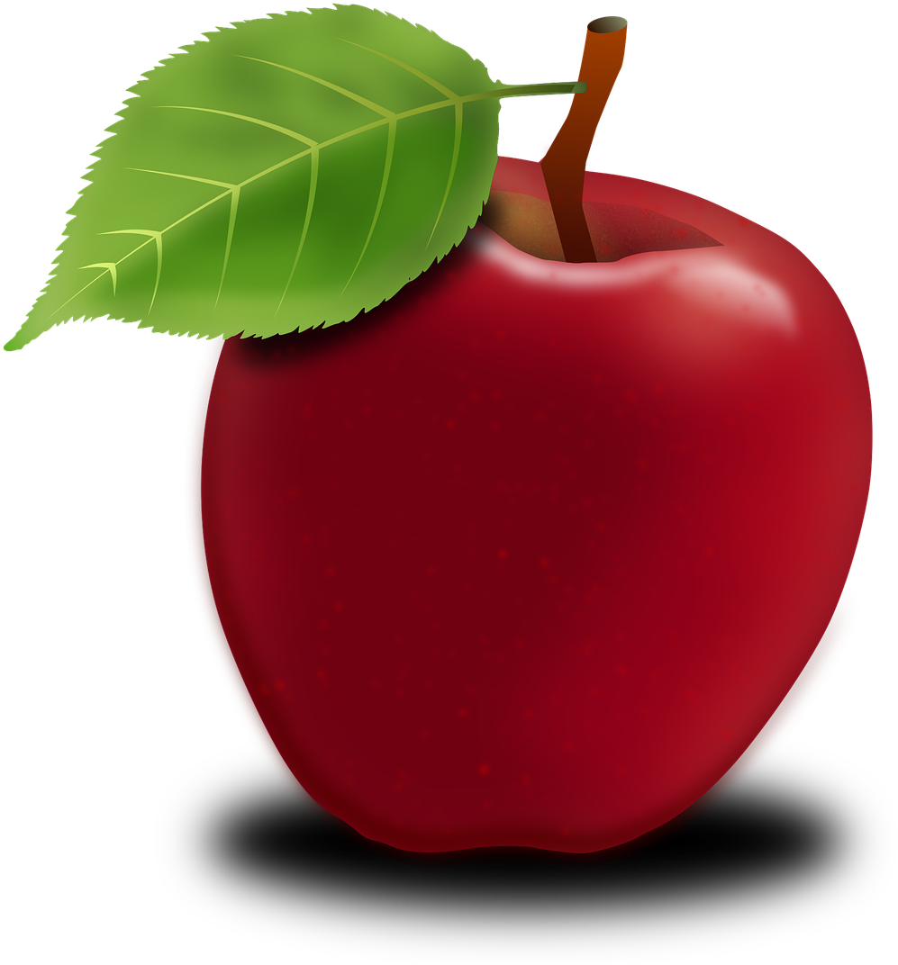 Apple Apple Tree Fruits Fruit Png Image - Jablko Png Clipart (1280x1280), Png Download