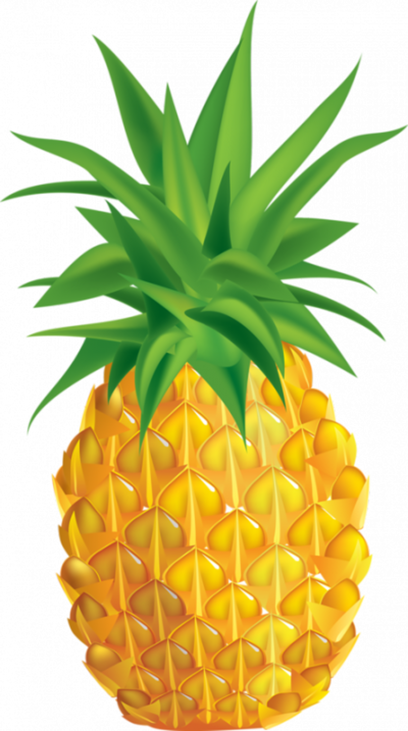 Large Painted Pineapple Png Clipart - Flamingo Png Desenho Transparent Png (800x1434), Png Download
