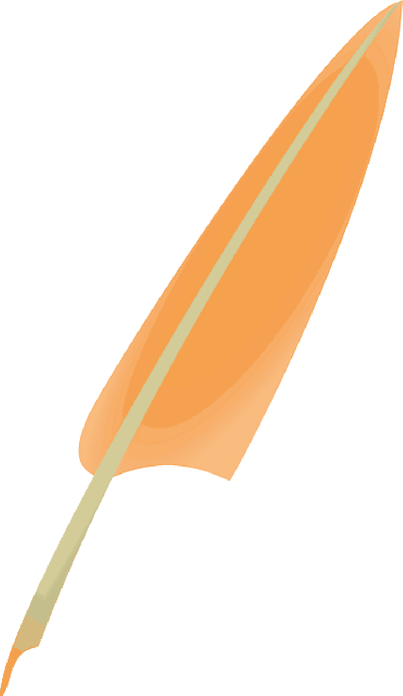 Quill , Png Download Clipart (800x1380), Png Download