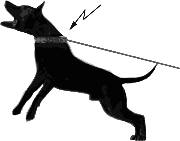 Research From Sweden Shows That 75 % Of Active Dogs - Warning Dangerous Dog Sign Clipart (723x565), Png Download