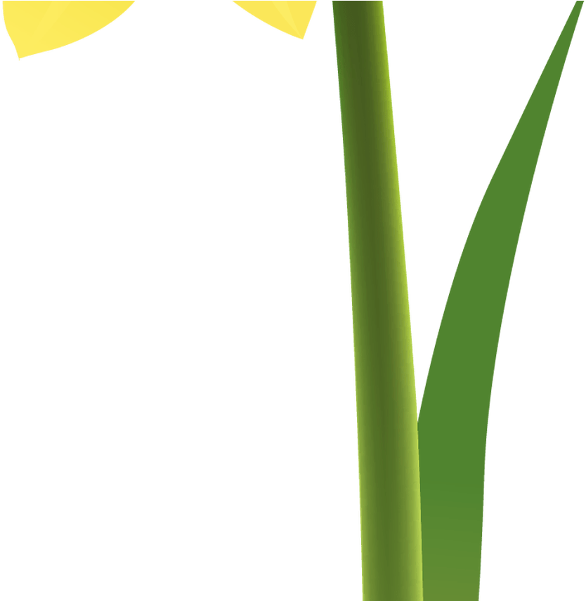 Spring Yellow Daffodil Png Clipart Gallery Yopriceville - Grass Transparent Png (1368x855), Png Download