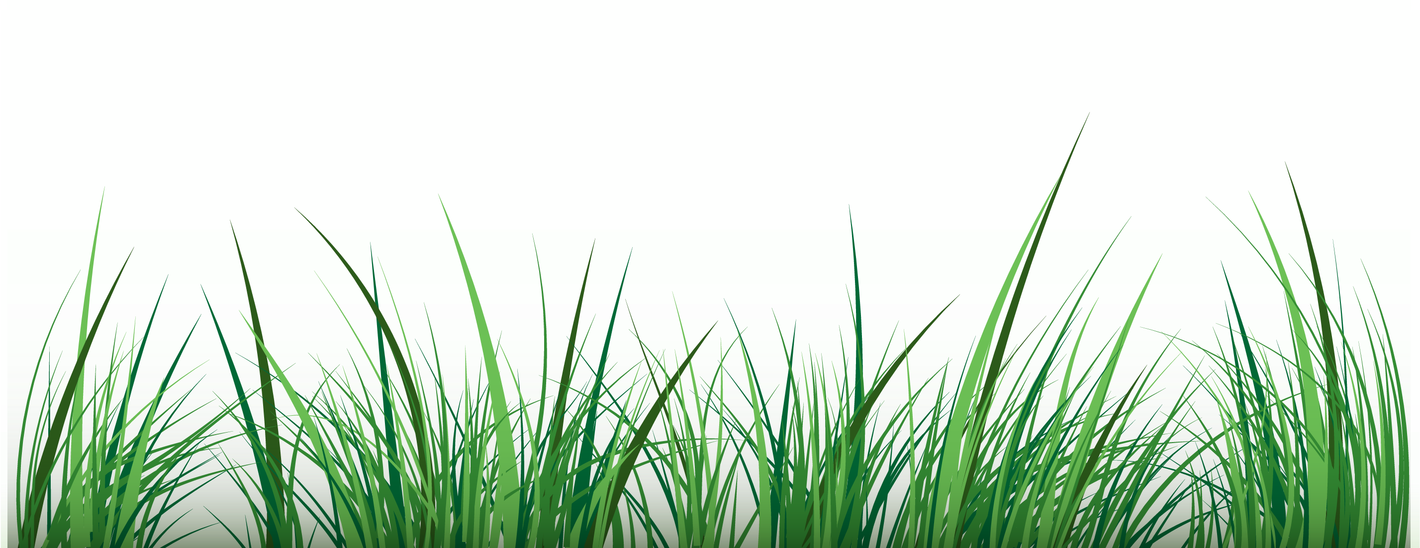 Grass Vector Png - Grass Vector Image Png Clipart (3125x3125), Png Download