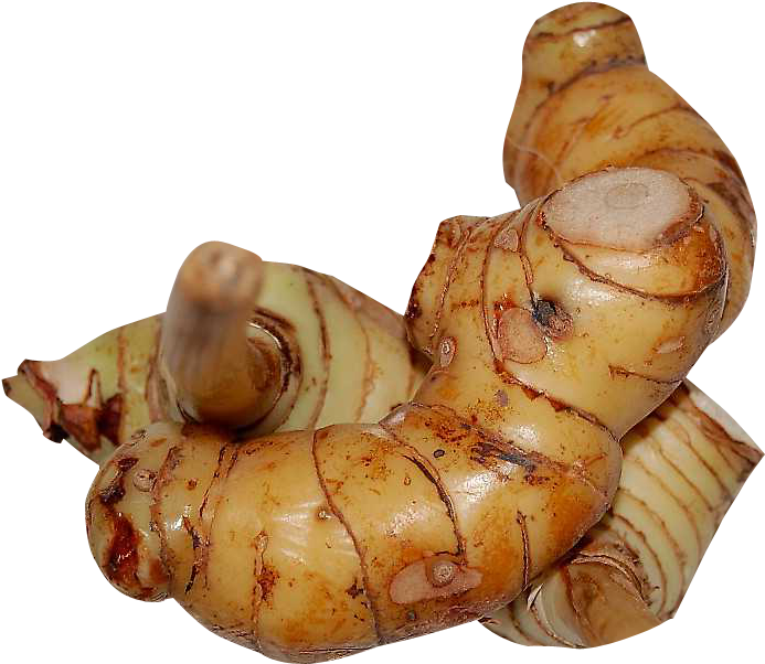 Galangal Png Image - Galangal Png Clipart (761x663), Png Download