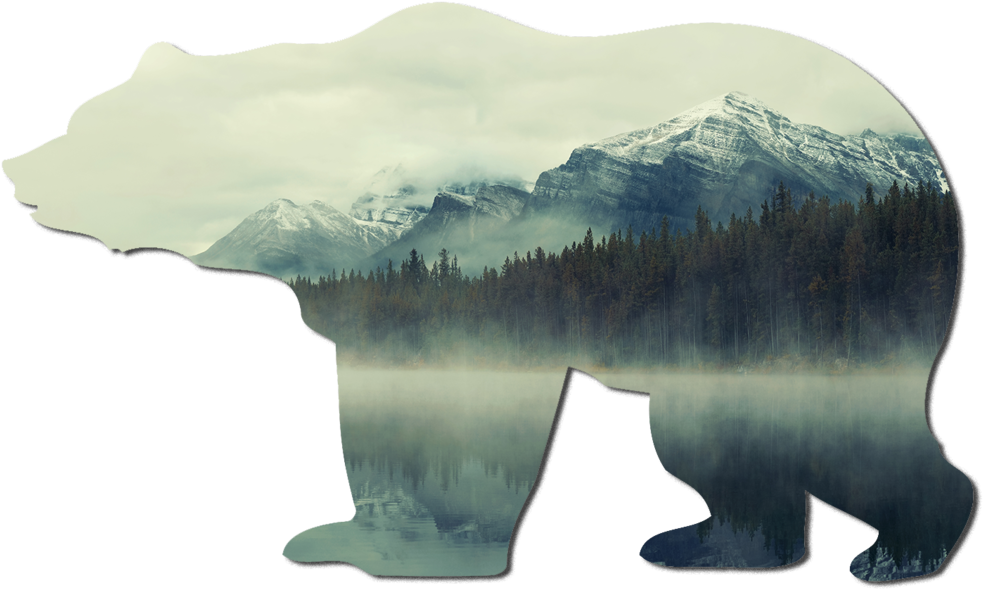 Polar Bear Clipart (1000x608), Png Download