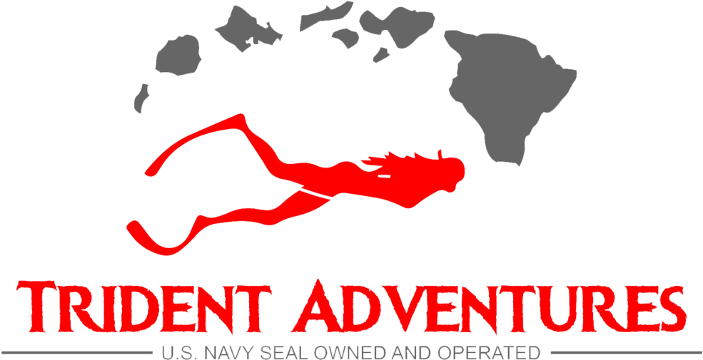 Trident Logo Final 2019 V1 - Hawaiian Islands Clipart (985x505), Png Download