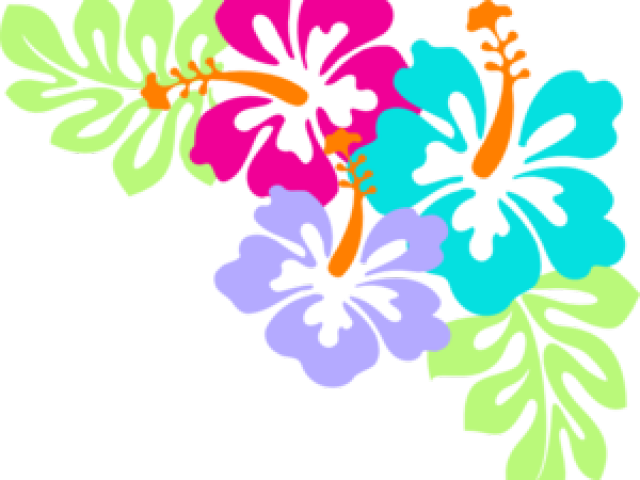 Wave Clipart Moana - Hibiscus Flowers Clip Art - Png Download (640x480), Png Download