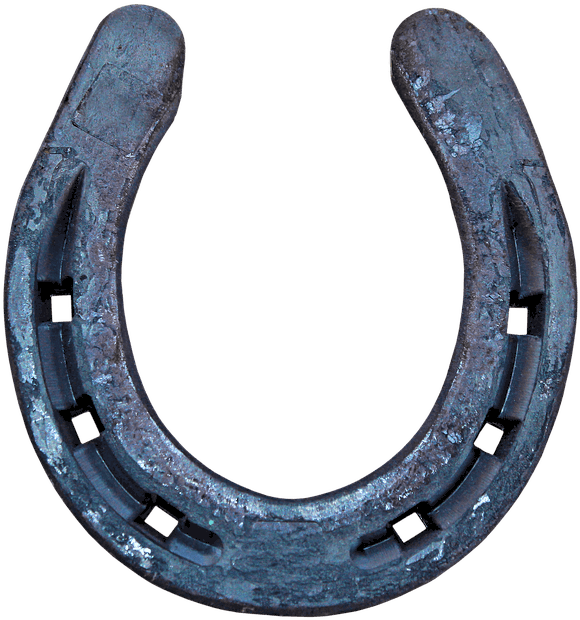 What Is The Meaning Of Horseshoe Jewelry - Hufeisen Bild Clipart (726x720), Png Download