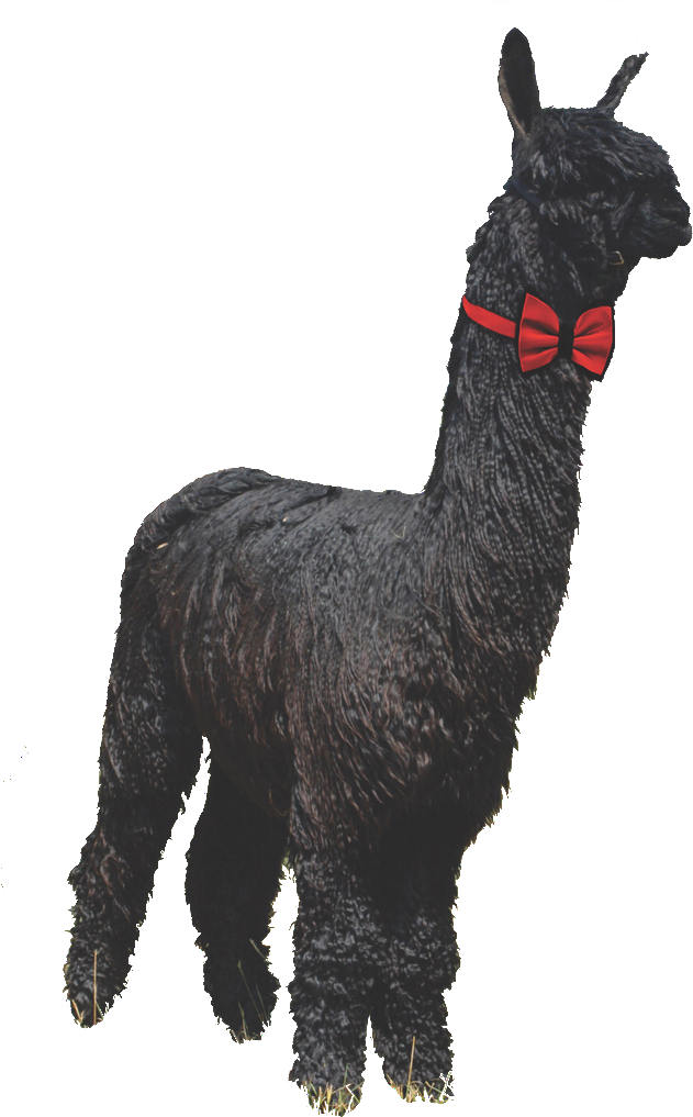 0 Replies 0 Retweets 0 Likes - Llama Clipart (694x1024), Png Download