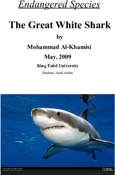 Doc - Great White Shark High Resolution Clipart (600x776), Png Download
