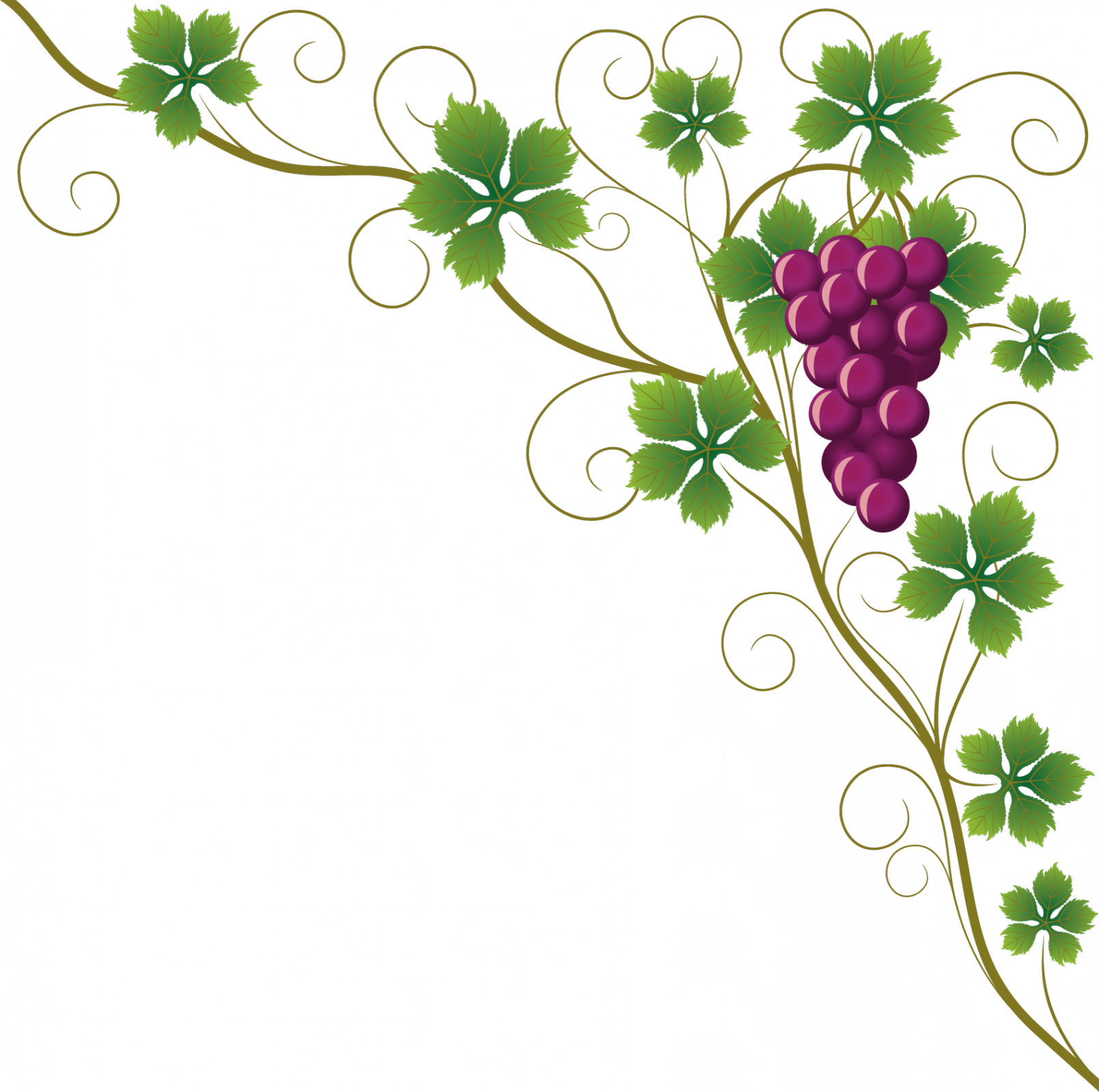 Vine Clipart Raisin - Design Border Of Chart - Png Download (1609x1600), Png Download