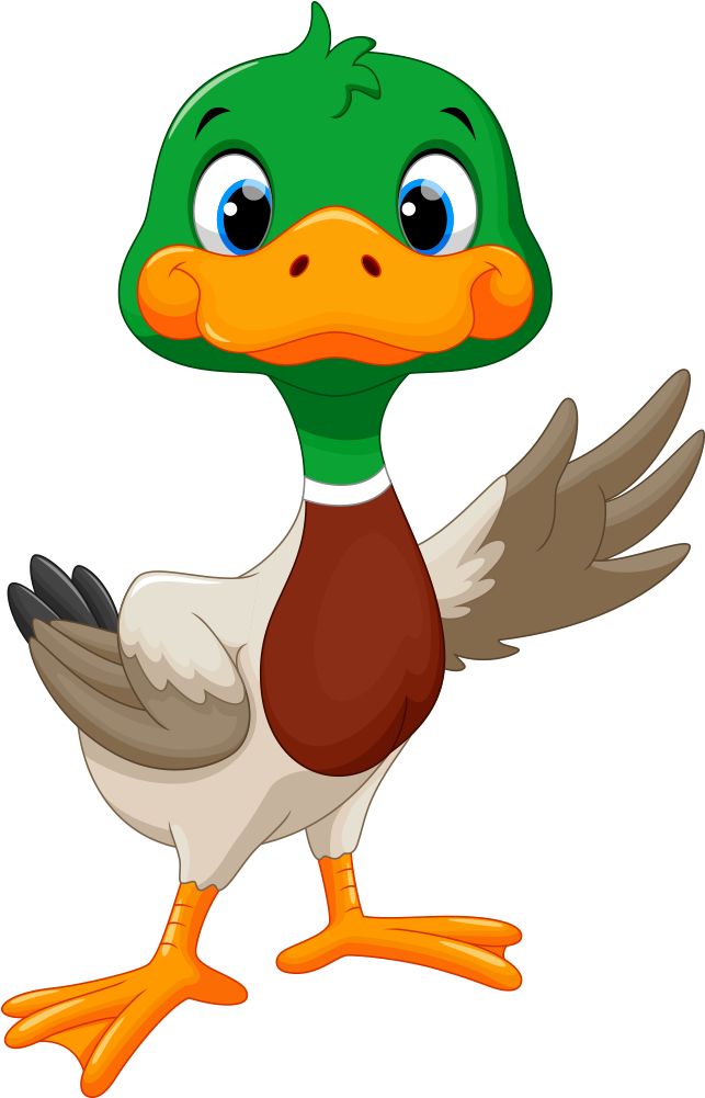 Clip Free Library Clipart Goose - Cute Mallard Duck Clipart - Png Download (1000x1000), Png Download