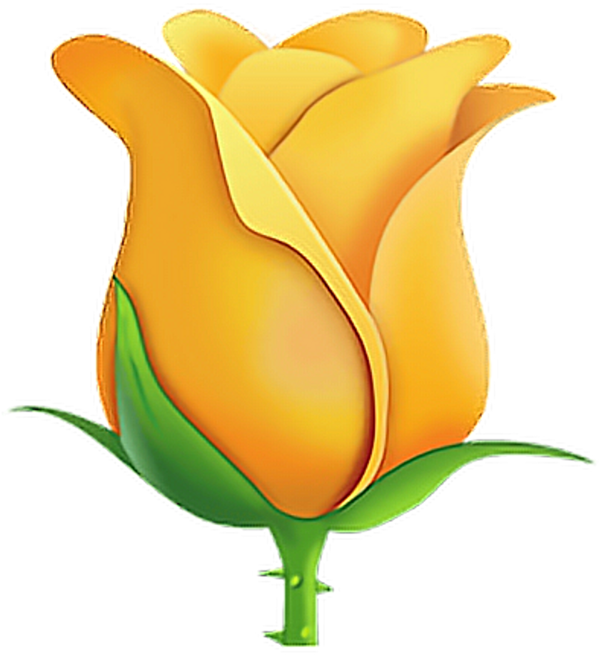 #emoji #emojisticker #sticker #sticker #yellowrose - Transparent White Rose Emoji Clipart (1024x1024), Png Download
