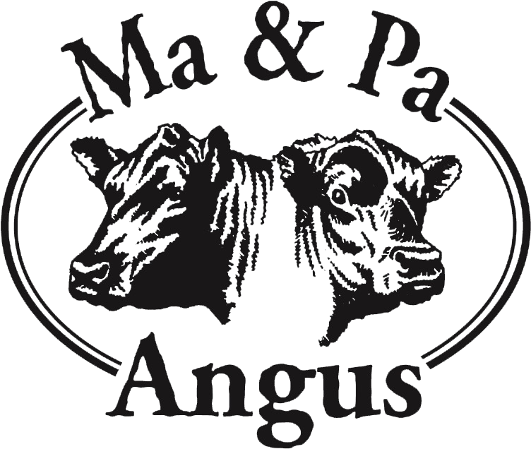 Ma And Pa Angus - Black Angus Bull Logo Clipart (760x760), Png Download