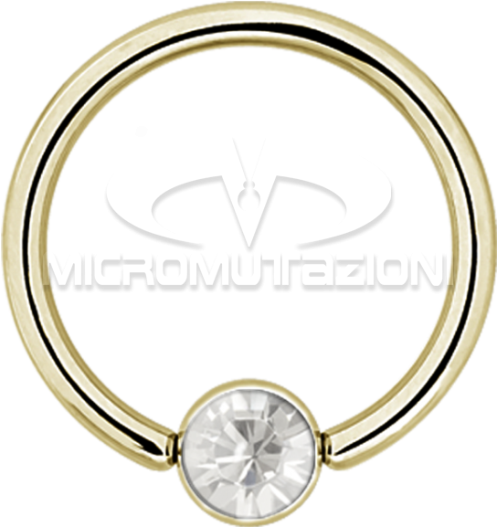 Circle Clipart (750x750), Png Download