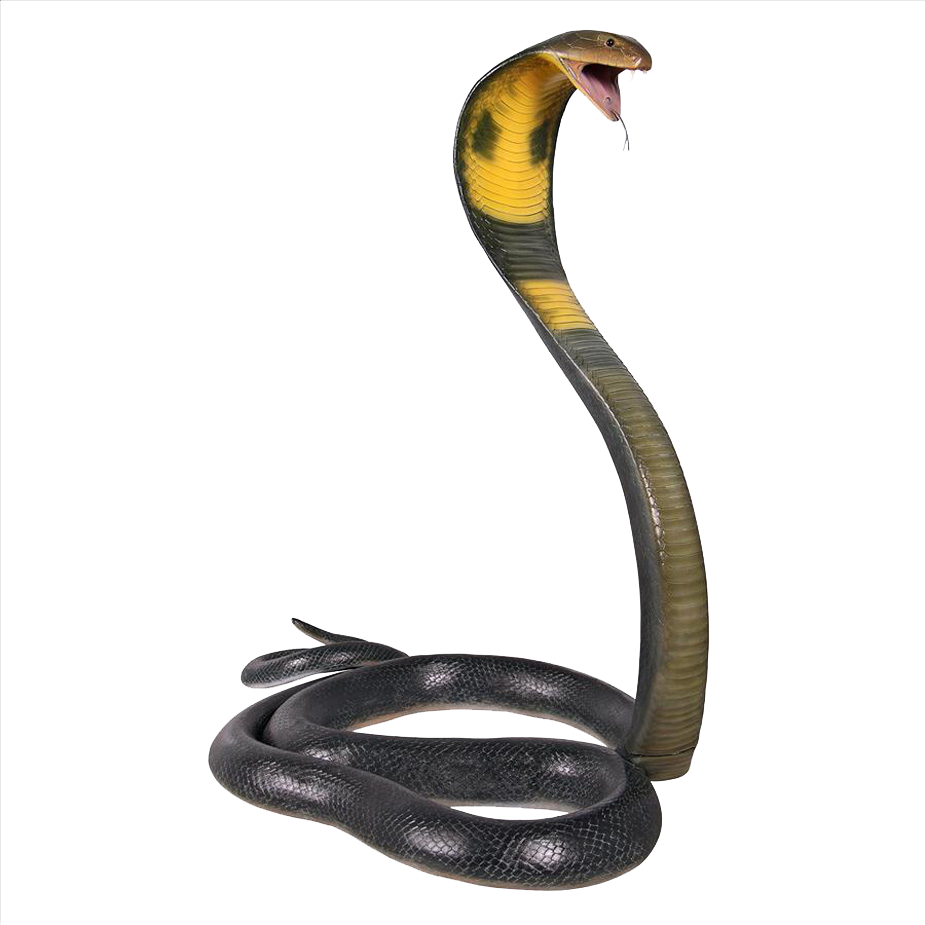 King Cobra Snake Clipart (925x925), Png Download