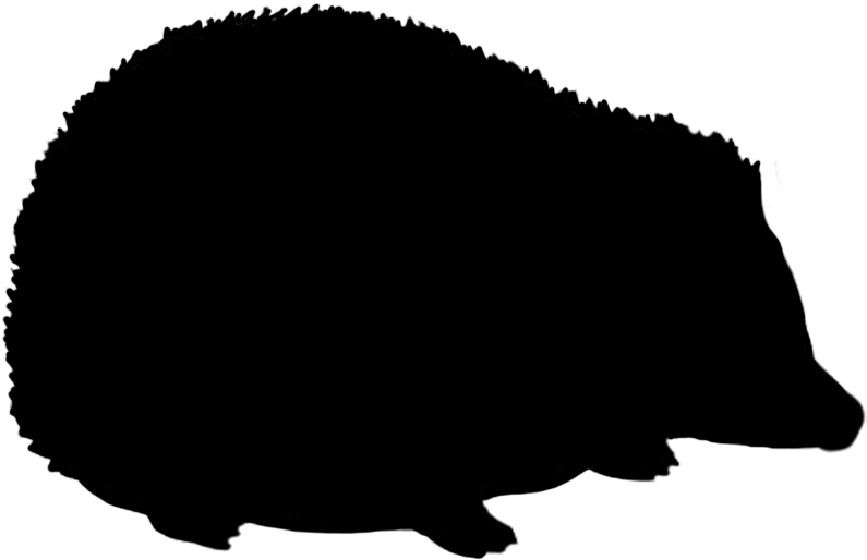 Rabbit Silhouette, Hedgehog Silhouette - Circle Clipart (795x514), Png Download