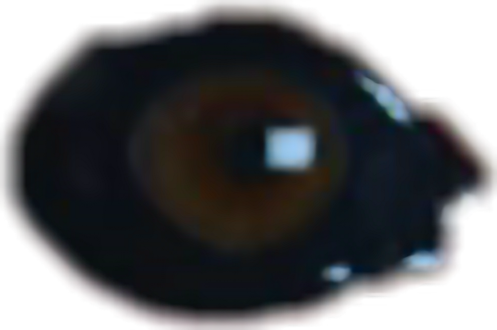 #eye#eyes #demon #model #black #eyeeemon #ombra #ombra1 - Circle Clipart (976x648), Png Download