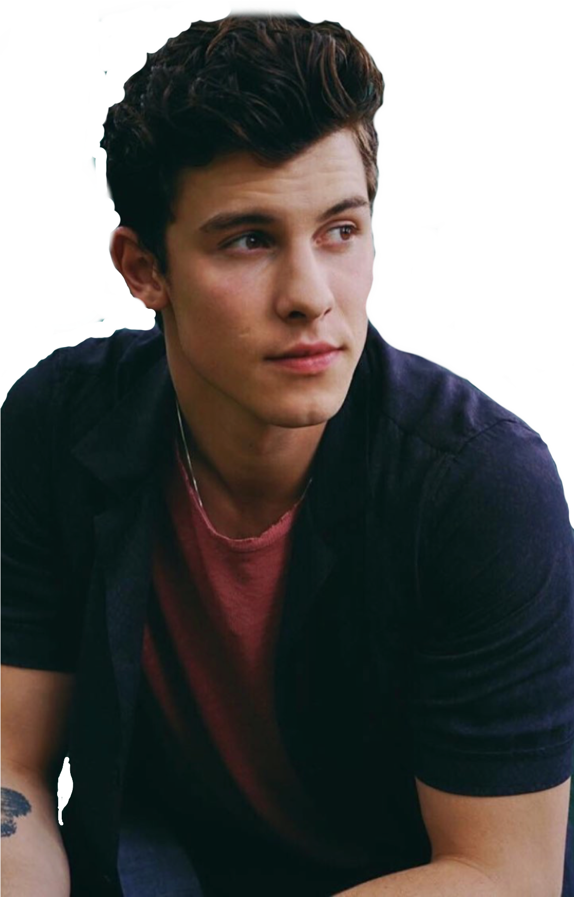 Shawn Mendes Clipart (1152x2048), Png Download