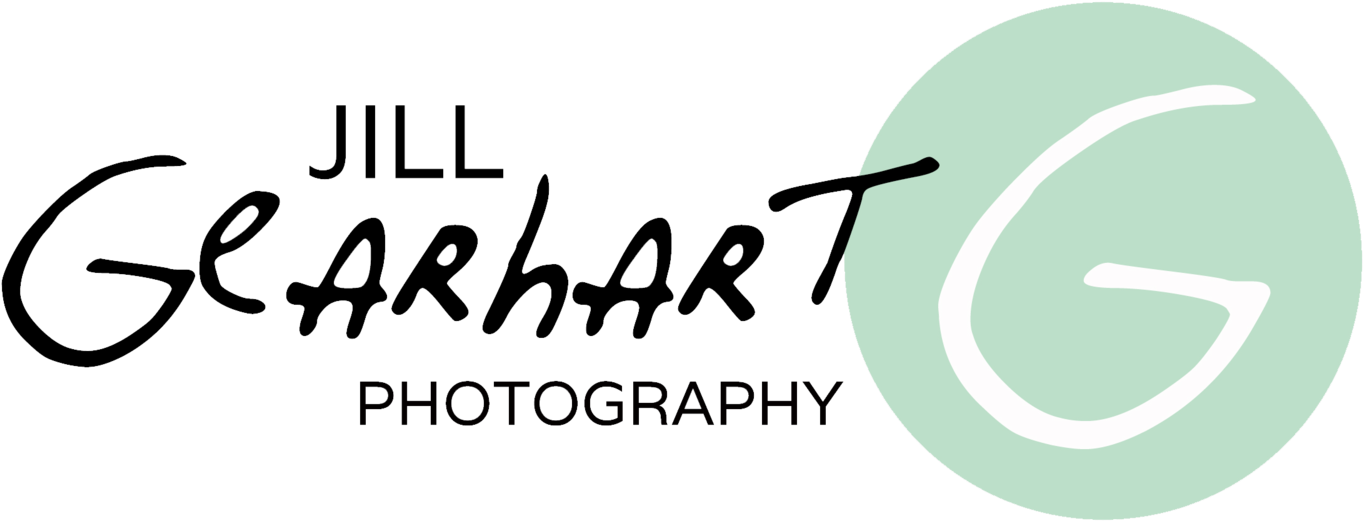 Picture Perfect Photography Png - Calligraphy Clipart (1500x750), Png Download