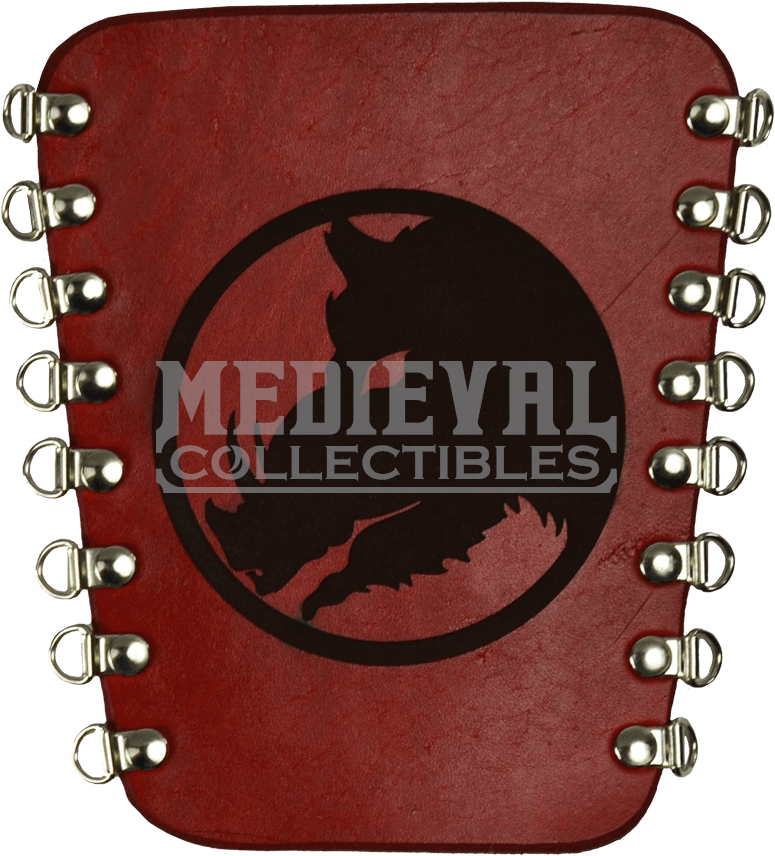 Kangaroo , Png Download - Illustration Clipart (775x856), Png Download