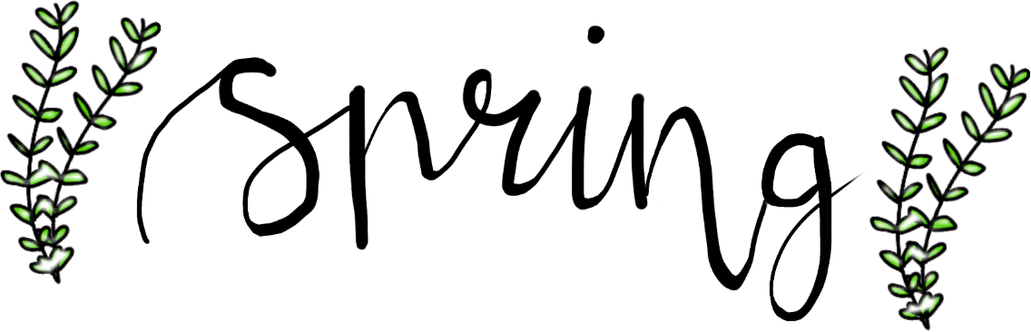 Calligraphy Clipart (1136x366), Png Download