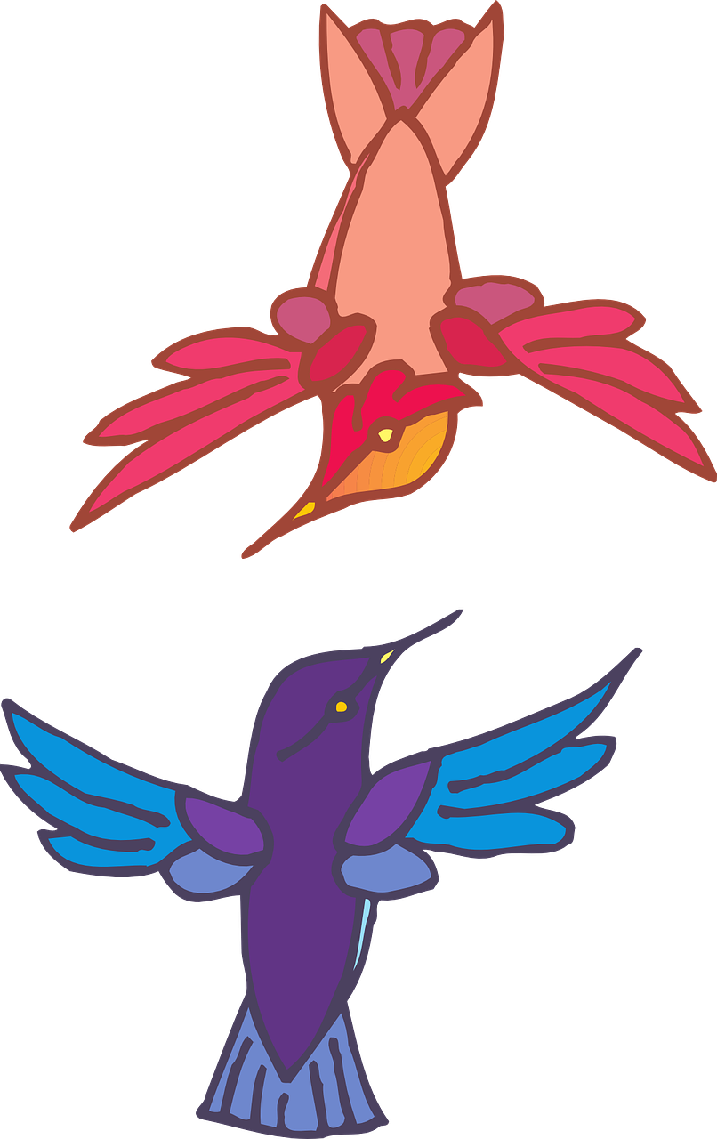 Two Birds Flying Colors Wings Png Image - Two Birds Flying Transparent Clipart (806x1280), Png Download