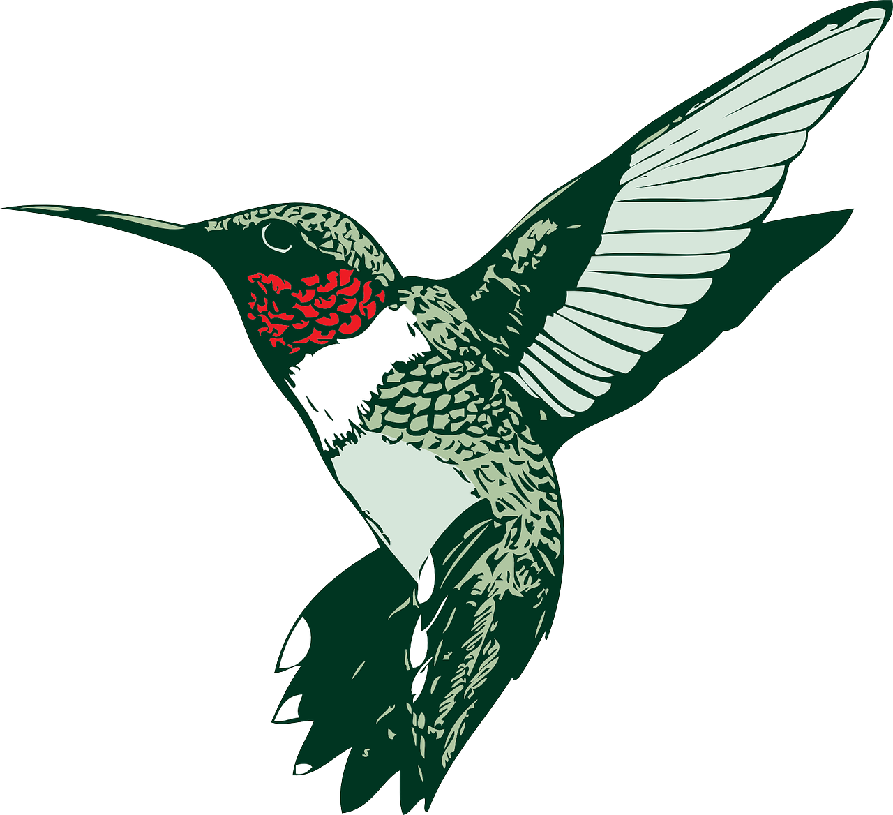 Bird Hummer Hummingbird Png Image - Humming Bird Clip Art Transparent Png (1280x1168), Png Download