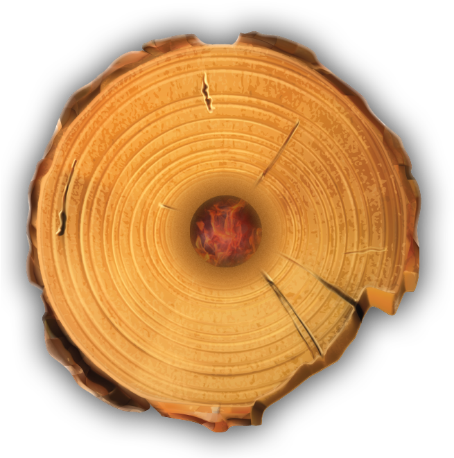 Timber Tote Log Top View - Tree Stump Wood Rings Clipart (655x661), Png Download