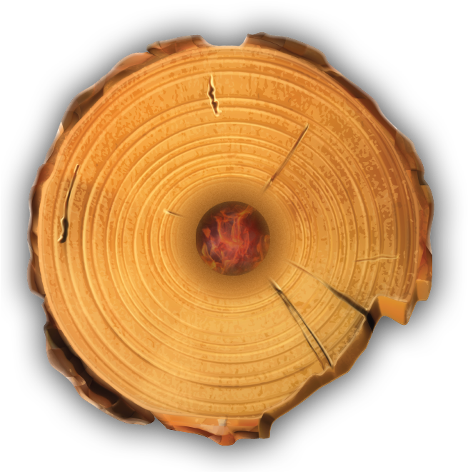 Download Timber Tote Log Top View - Tree Stump Wood Rings Clipart Png