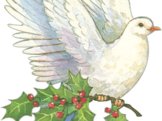 Clip Art Dove Vintage Christmas - Png Download (640x480), Png Download