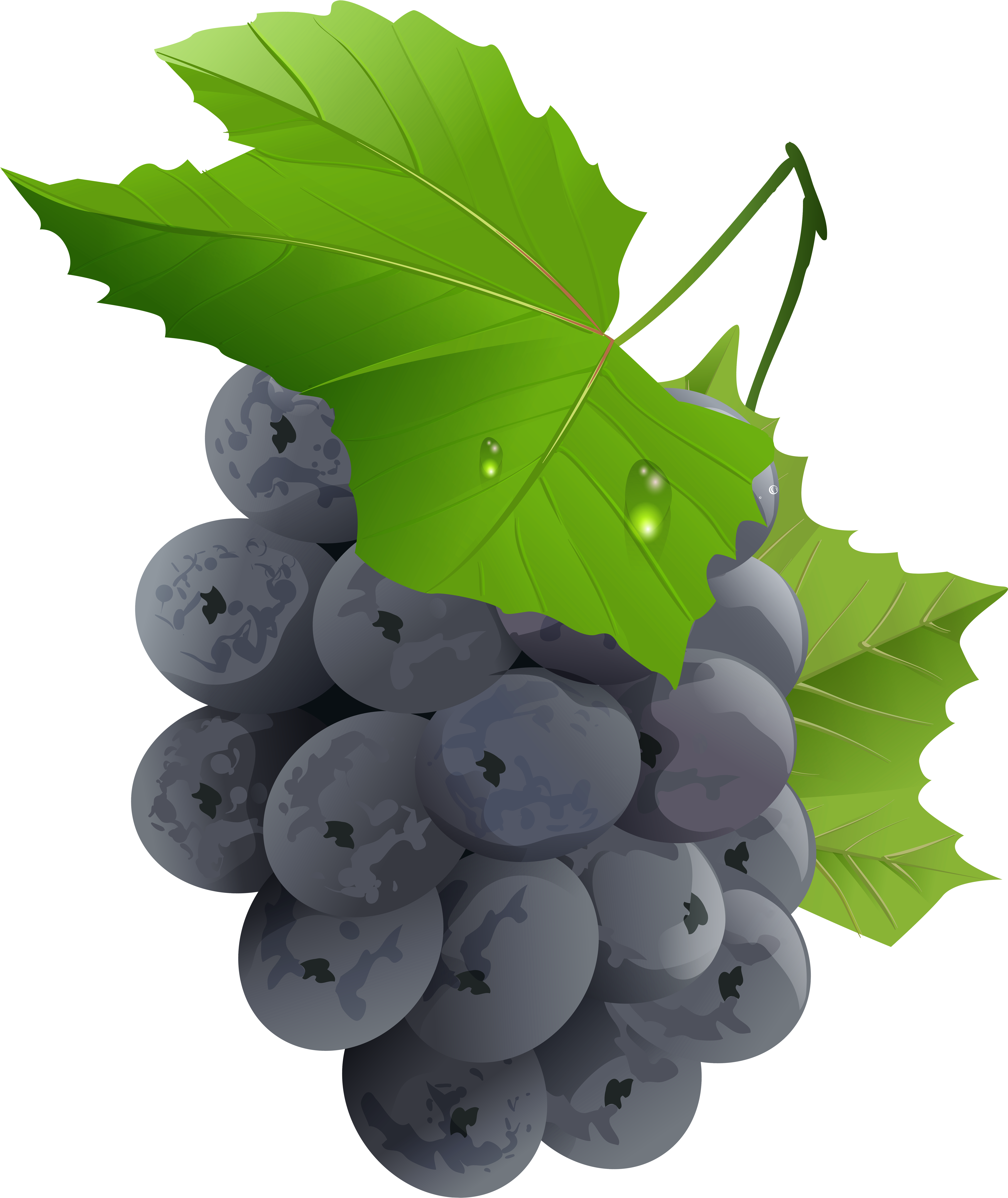 Grapes Transparent Png Clip Art Image (6780x8000), Png Download