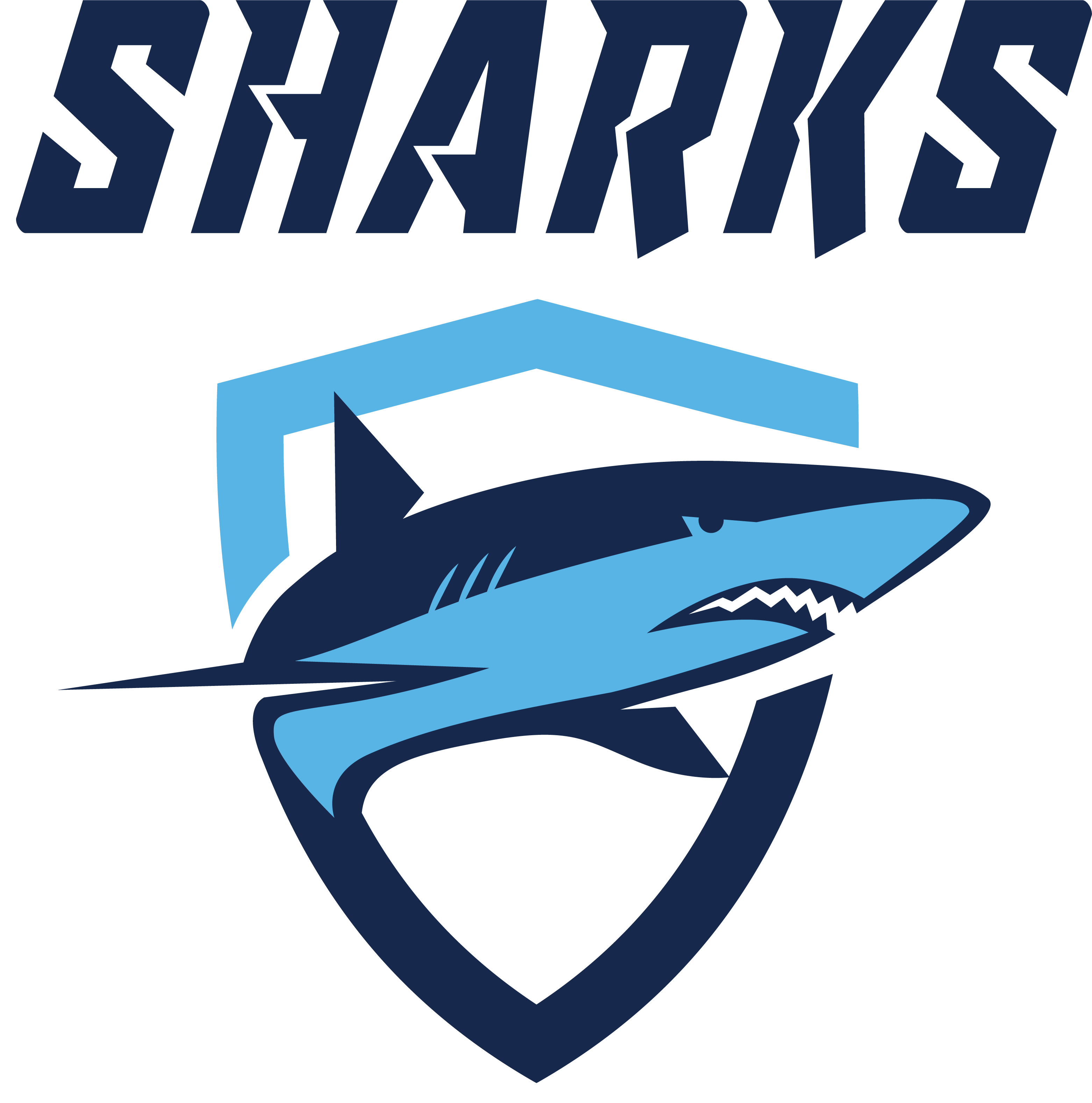 Sharks Swim Club - Sharks Logo Clipart (3123x3155), Png Download