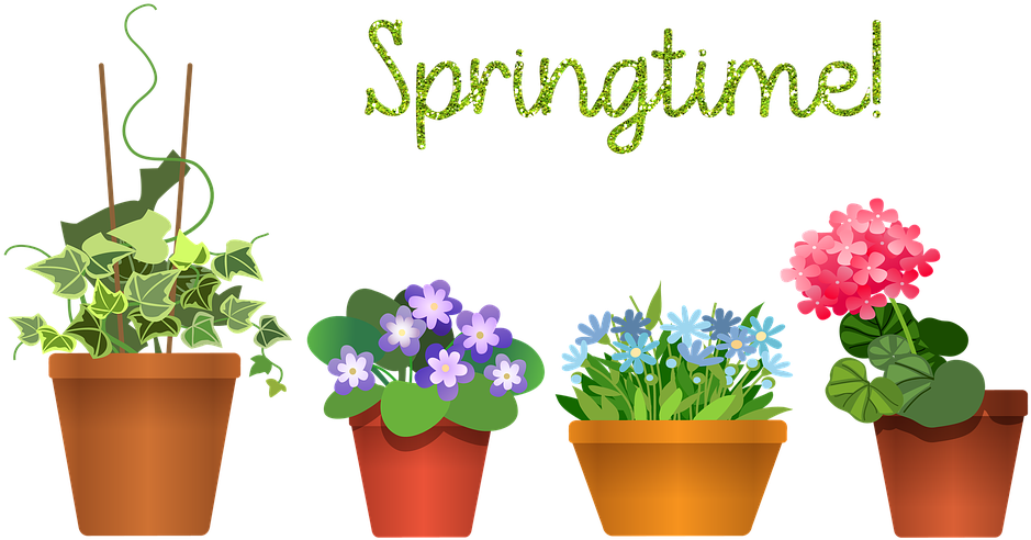 House Plants Flowerpot Plant Green House Flower - Flowerpot Clipart (960x505), Png Download