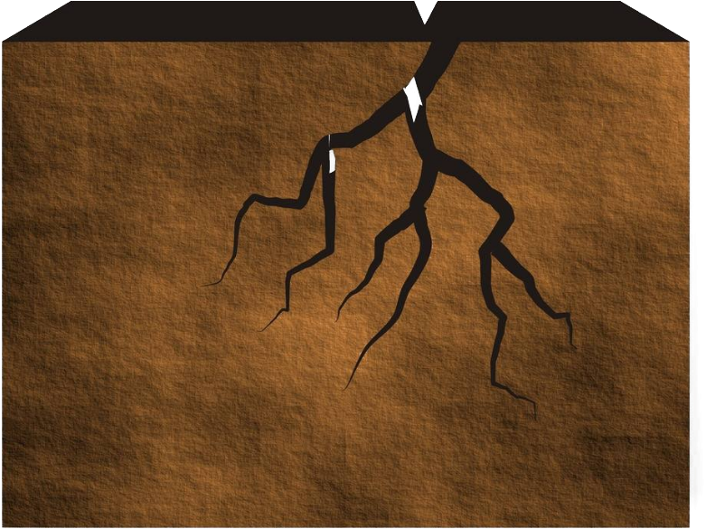 Png Download Adobe Illustrator Cracked Stone Png Transprent - Plywood Clipart (985x724), Png Download