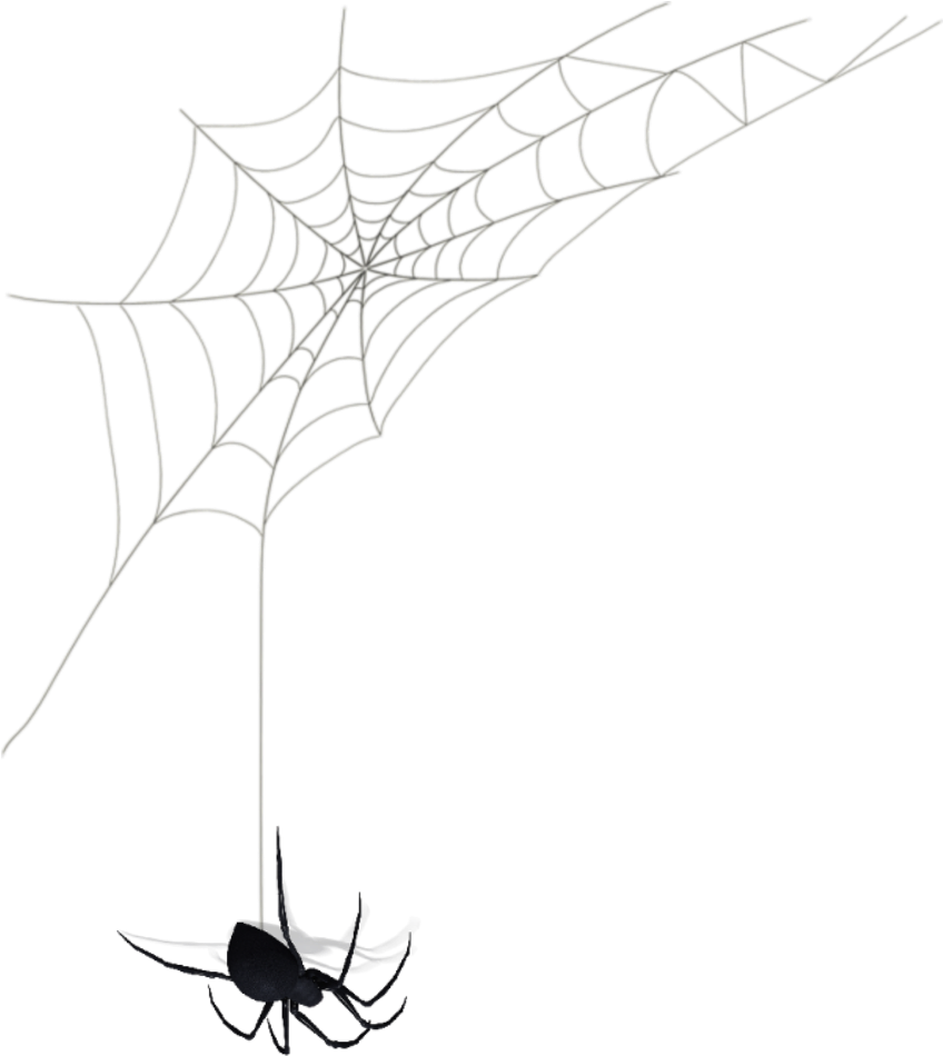 Cobweb Sticker - Black Widow Clipart (1024x1024), Png Download